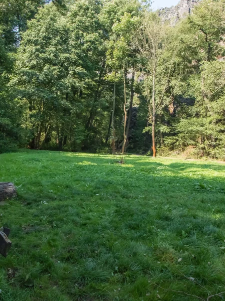 La delgada Katherina adora caminar desnuda por el bosque foto 101