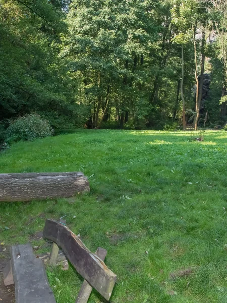 La delgada Katherina adora caminar desnuda por el bosque foto 105