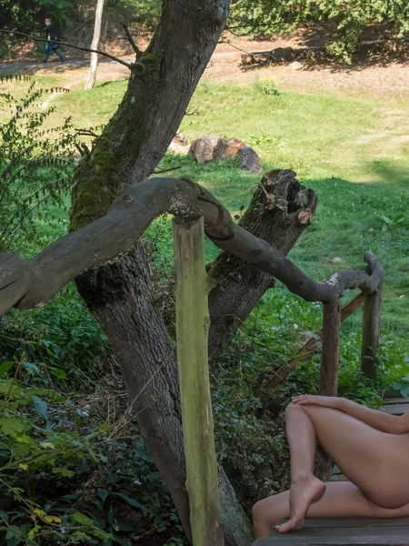 La delgada Katherina adora caminar desnuda por el bosque foto 27
