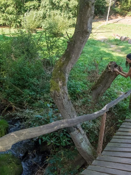 La delgada Katherina adora caminar desnuda por el bosque foto 43