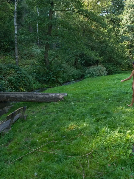 La delgada Katherina adora caminar desnuda por el bosque foto 92