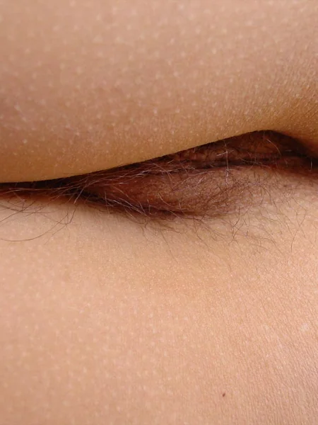 Vello púbico y pezones tatuados de una chica guapa foto 52