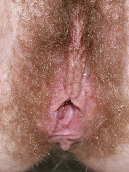 The hairy pussy of a skinny woman rarely gets bored photo 6