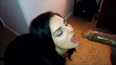 Momentos interesantes con una zorra